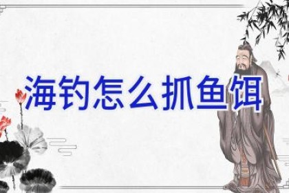 海钓怎么抓鱼饵