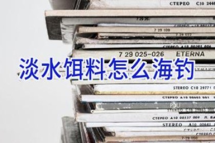 淡水饵料怎么海钓