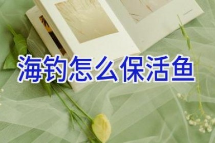 海钓怎么保活鱼