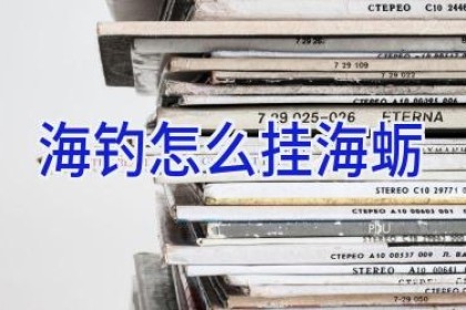 海钓怎么挂海蛎