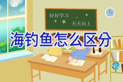 海钓鱼怎么区分