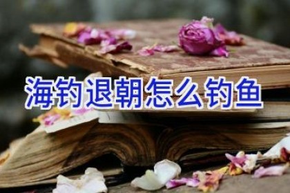 海钓退朝怎么钓鱼