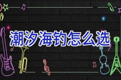 潮汐海钓怎么选