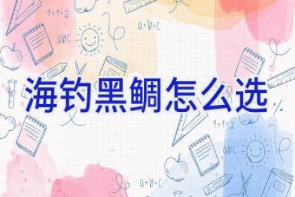 海钓黑鲷怎么选