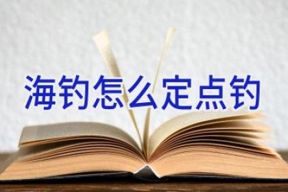 海钓怎么定点钓
