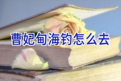 曹妃甸海钓怎么去