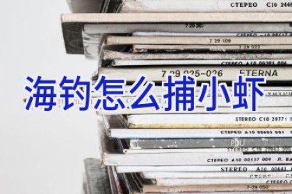 海钓怎么捕小虾