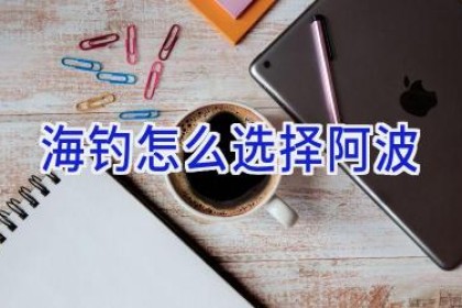 海钓怎么选择阿波