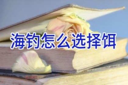 海钓怎么选择饵