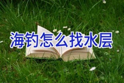 海钓怎么找水层