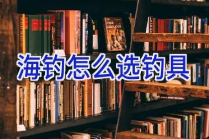 海钓怎么选钓具