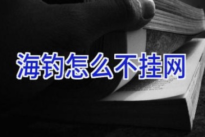 海钓怎么不挂网