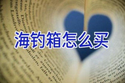 海钓箱怎么买