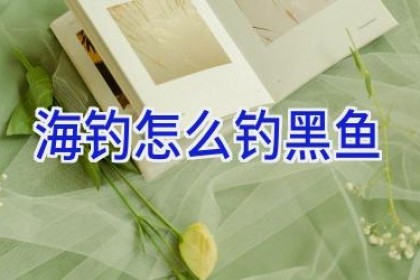 海钓怎么钓黑鱼