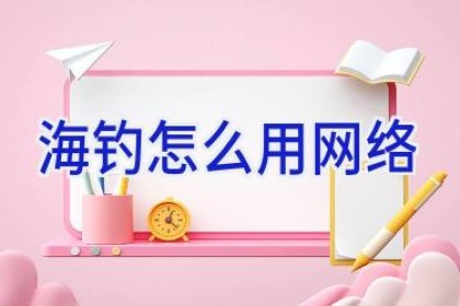 海钓怎么用网络
