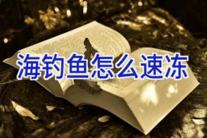 海钓鱼怎么速冻