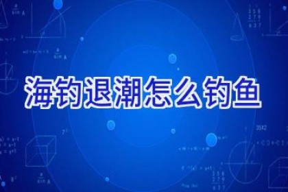 海钓退潮怎么钓鱼