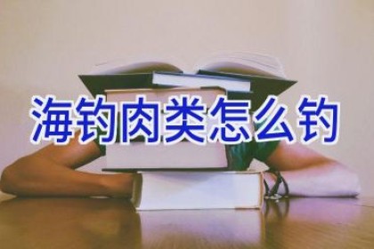 海钓肉类怎么钓