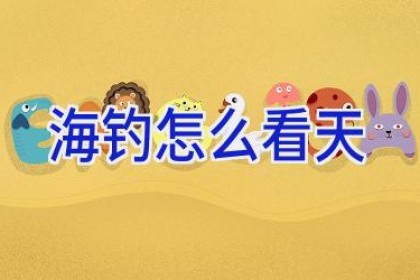 海钓怎么看天