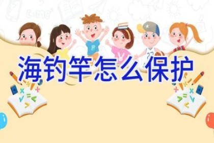 海钓竿怎么保护