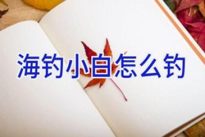 海钓小白怎么钓