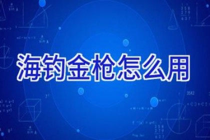 海钓金枪怎么用