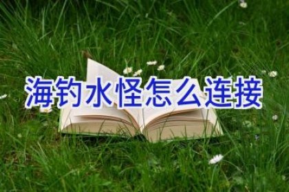 海钓水怪怎么连接