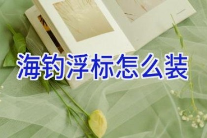 海钓浮标怎么装