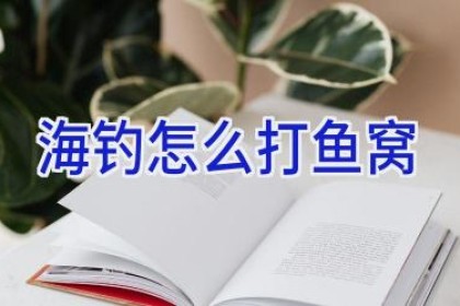 海钓怎么打鱼窝