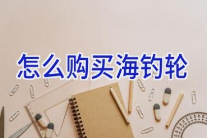 怎么购买海钓轮
