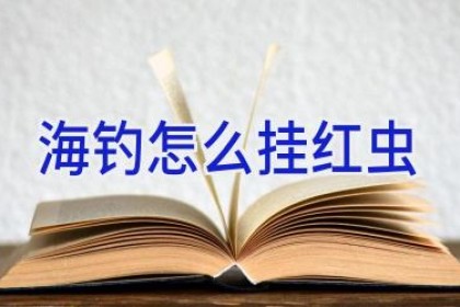 海钓怎么挂红虫
