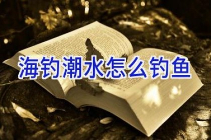 海钓潮水怎么钓鱼