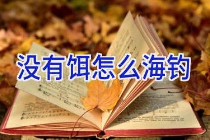 没有饵怎么海钓