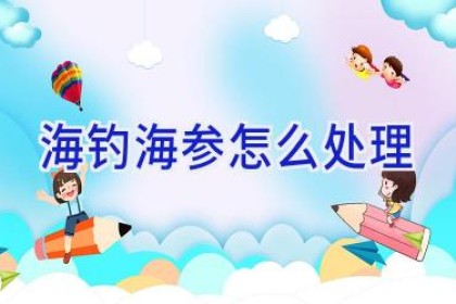 海钓海参怎么处理