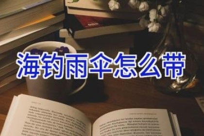 海钓雨伞怎么带