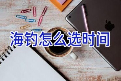 海钓怎么选时间