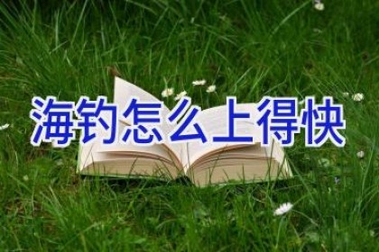 海钓怎么上得快