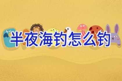 半夜海钓怎么钓