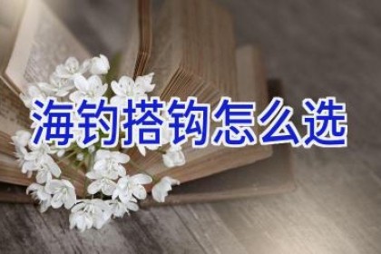 海钓搭钩怎么选