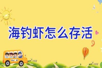 海钓虾怎么存活