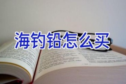 海钓铅怎么买