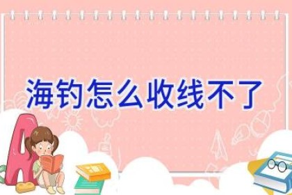 海钓怎么收线不了