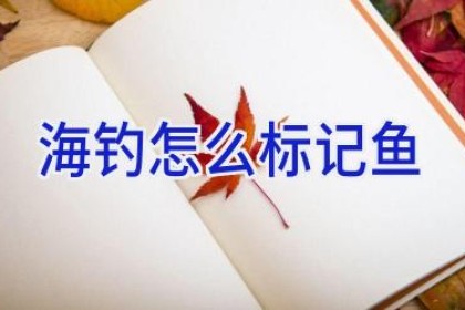 海钓怎么标记鱼