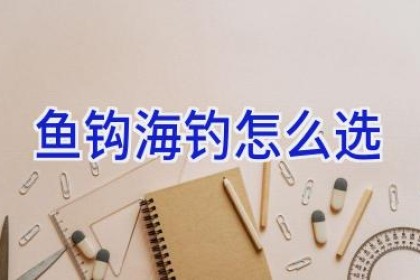 鱼钩海钓怎么选