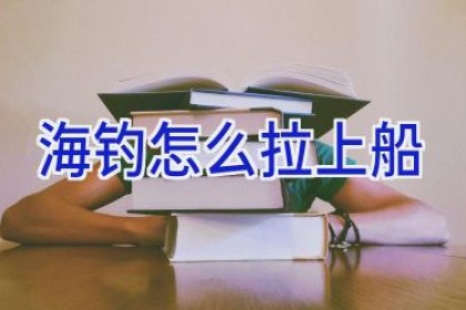 海钓怎么拉上船