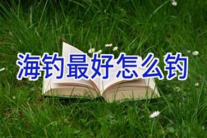 海钓最好怎么钓