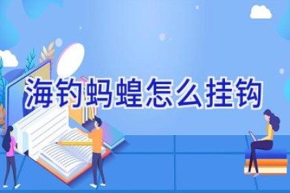 海钓蚂蝗怎么挂钩