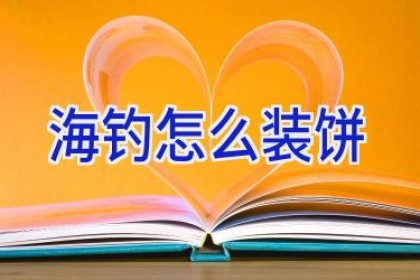 海钓怎么装饼