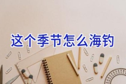 这个季节怎么海钓