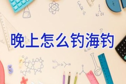 晚上怎么钓海钓